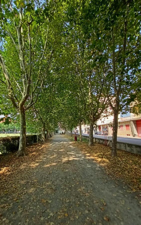 Casa Caty Apartment Pinerolo Ngoại thất bức ảnh